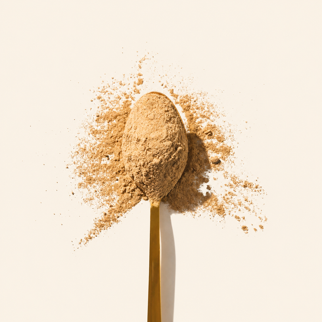 The Best Supplements for Endo Support in 2026: What to Look For