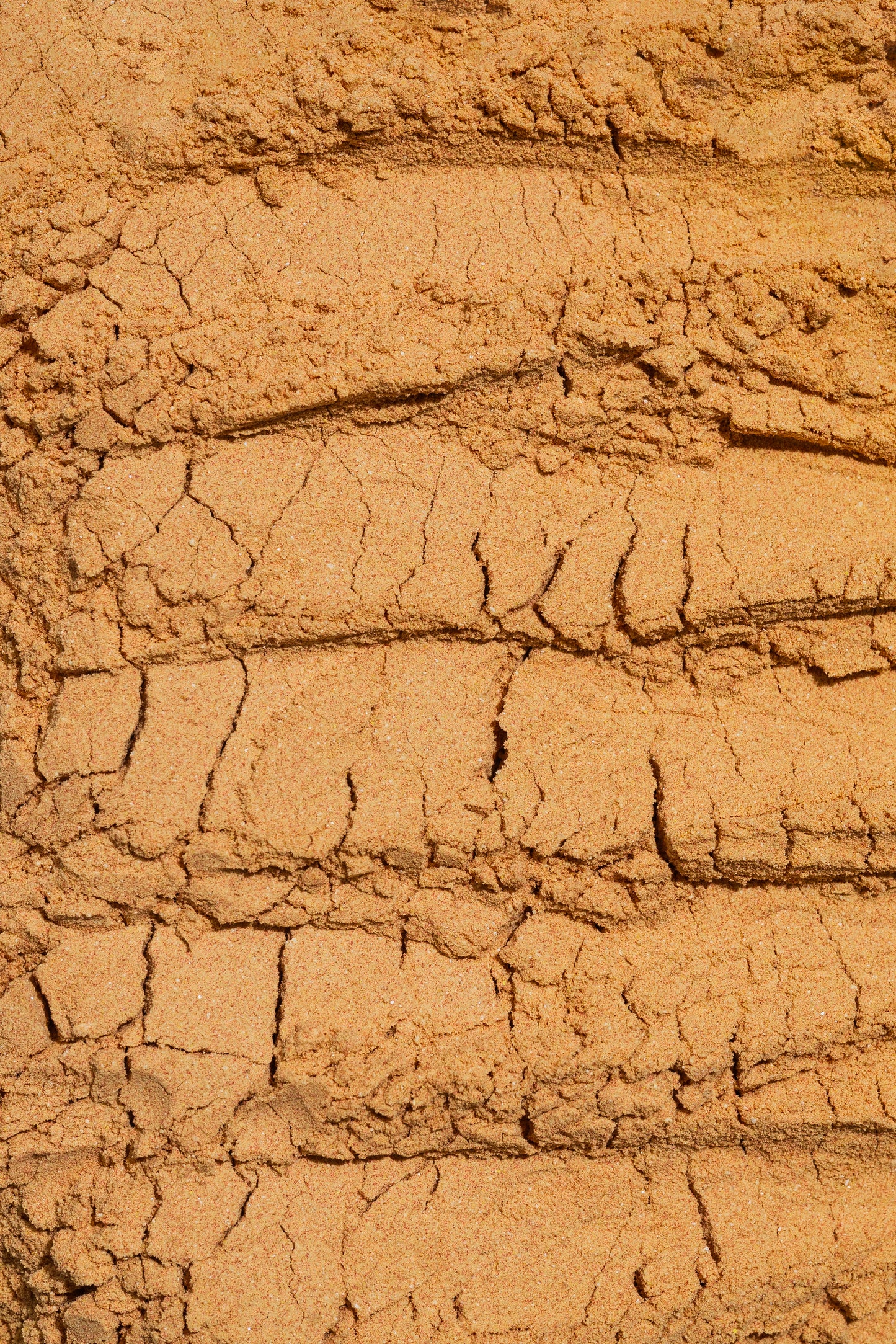 Macro image showing the cracked, earthy texture of Daea EndoWellness Period Support supplement powder.