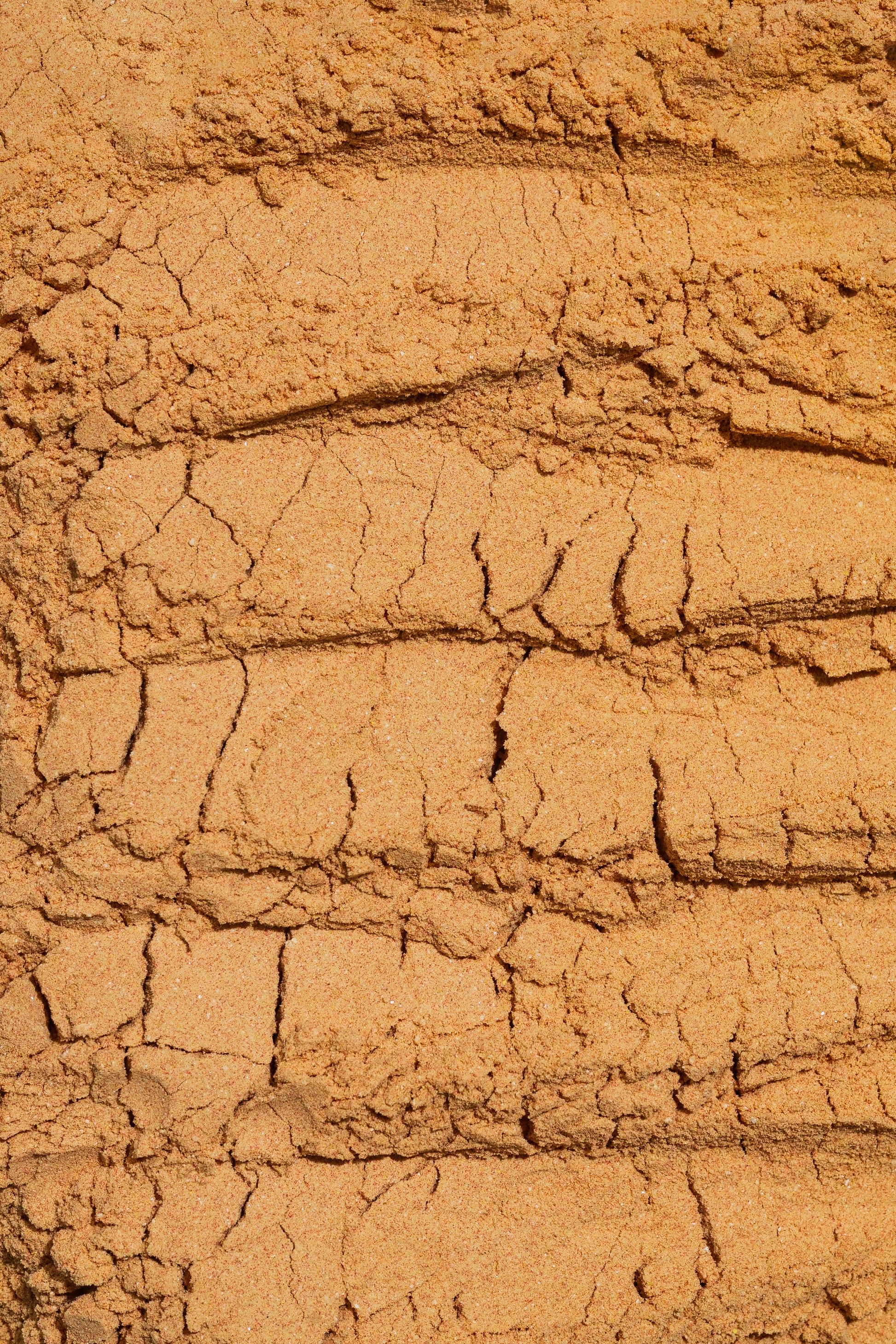 Macro image showing the cracked, earthy texture of Daea EndoWellness Period Support supplement powder.